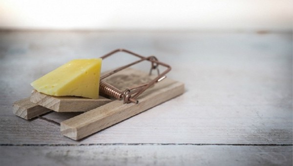 157689506217697300_a580x330.jpg