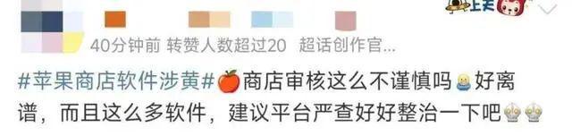 苹果商店涉黄软件_苹果应用商店审核漏洞_苹果应用商店下架的软件还能用吗