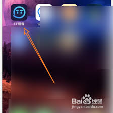 tt语音上踢保什么意思_tt语音主播申请流程_tt语音实名认证条件