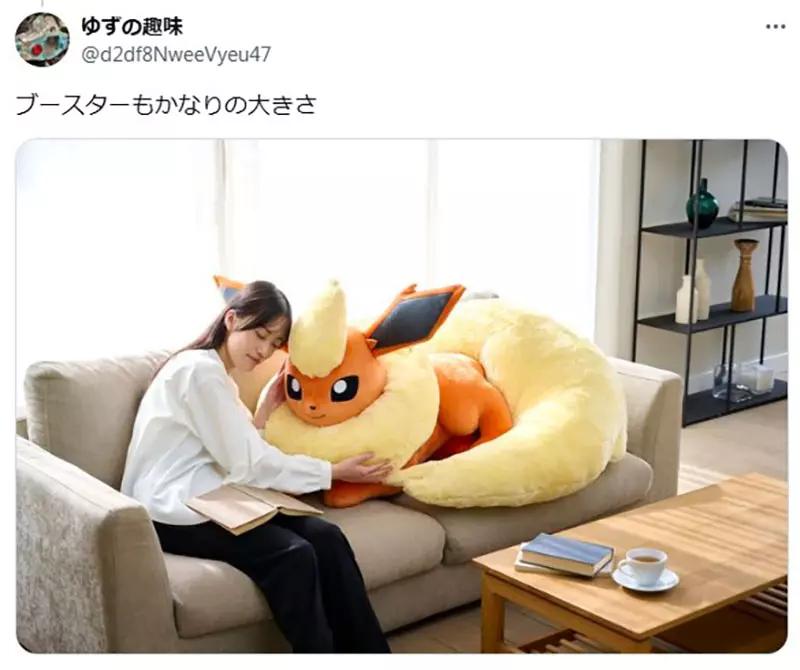 宝可梦仙子伊布体型设定_伊布进化成什么比较好_仙子伊布真实大小对比