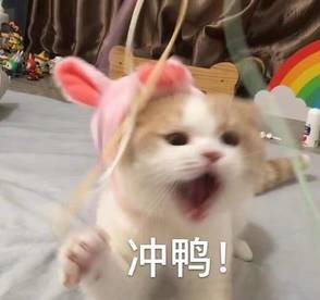 qq群聊对话生成器在线制作_个人定制红包封面方法_微信红包封面制作教程