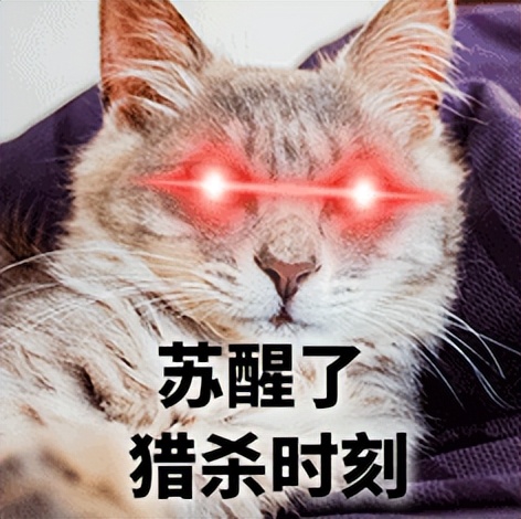 球球大作战暗煤袋星云模式_球球大作战类型的游戏_球球大作战猎魔逃生玩法