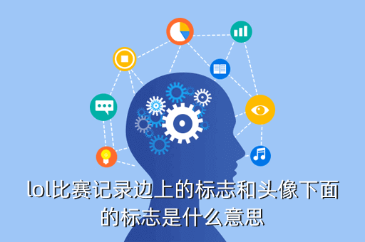 lol比赛记录边上的标志和头像下面的标志是什么意思