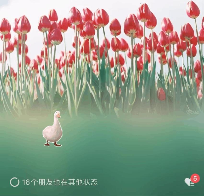 手机qq农场没有了_微信农场起源发展_微信农场话题讨论